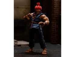 Akuma 6