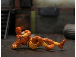 Dhalsim 6