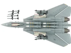 Grumman F-14A Tomcat Fighter Aircraft 