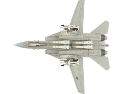 Grumman F-14A Tomcat Fighter Aircraft 