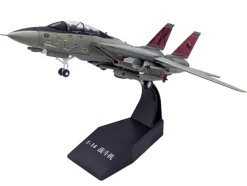 Grumman F-14D Tomcat Aircraft