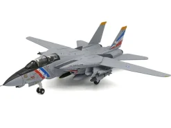 Grumman F-14D Tomcat Aircraft