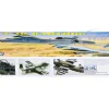 Level 4 Model Kit Fairchild Republic A 10 Warthog Thunderbolt II Aircraft 1/48 Scale Model Revell 85-5521