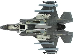 Lockheed Martin F-35B Lightning II Aircraft (Beast Mode)