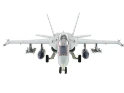McDonnell Douglas F/A-18D Hornet Aircraft
