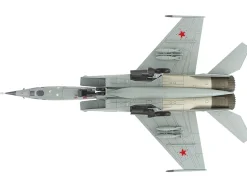 Mikoyan-Gurevich MiG-25RBT Aircraft 