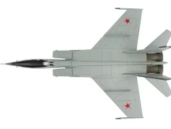 Mikoyan-Gurevich MiG-25RBT Aircraft 
