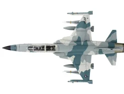 Northrop F-5F Tiger II Aircraft 