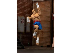 Sagat 7.5
