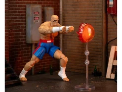 Sagat 7.5
