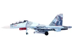 Sukhoi Su-30MKK Flanker-G Fighter Aircraft #504