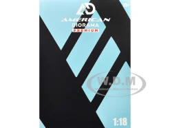 Top Tuners Figure #3 "Premium" Series for 1/18 Scale Models by American Diorama